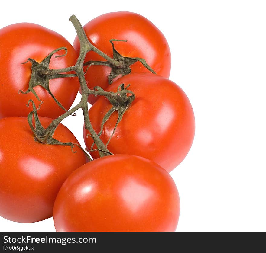 The Spanish tomatoes on a branch on a white background