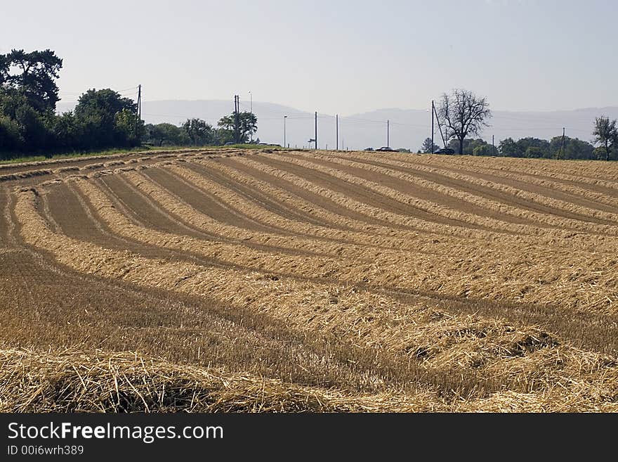 Hay field that has been recently reaped. Hay field that has been recently reaped.