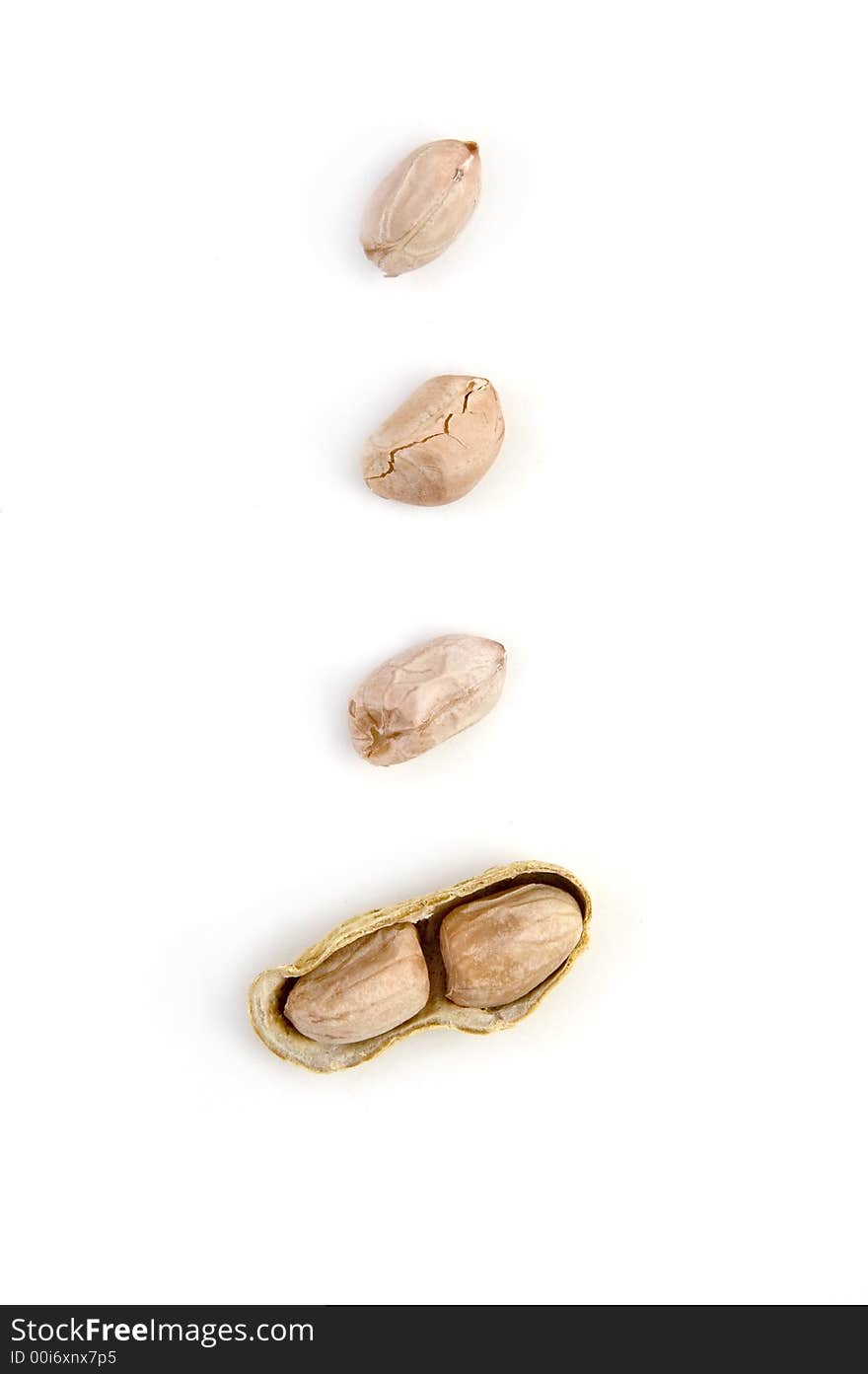 Grounds Nuts Exposed with shell on white background. Grounds Nuts Exposed with shell on white background