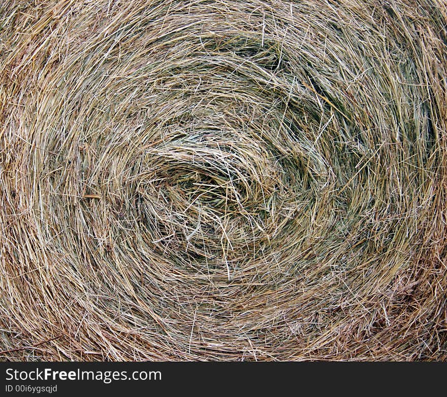 This image shows a closeup view from bale of straw