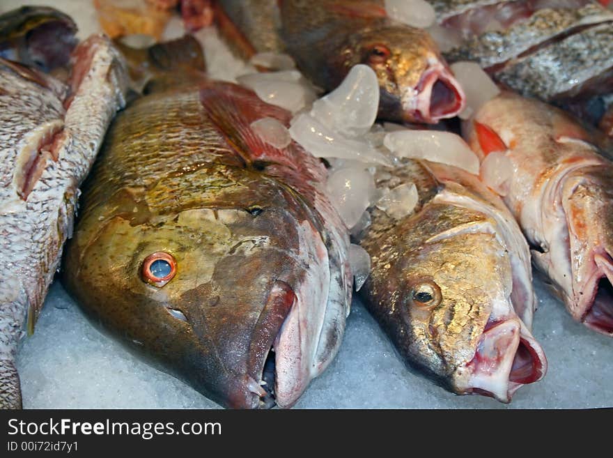 Close up of fish displayed in a fish market