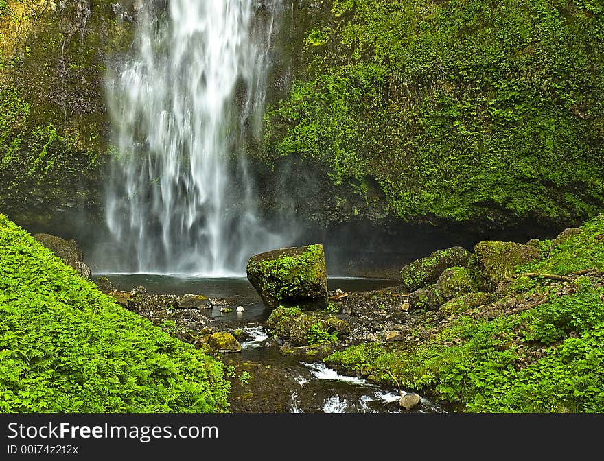 Beautiful waterfall in the rainforests of the pacific northwest. Beautiful waterfall in the rainforests of the pacific northwest