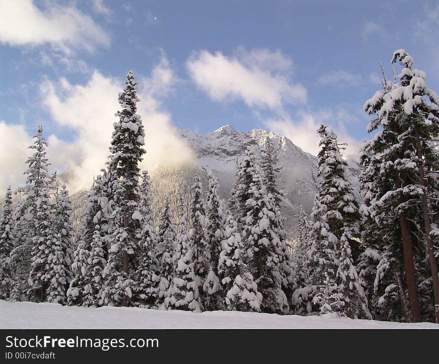 Fresh Mountain Snow