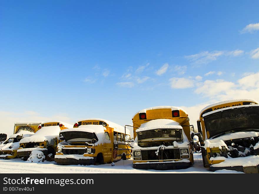 School Buses At A Junk Yard