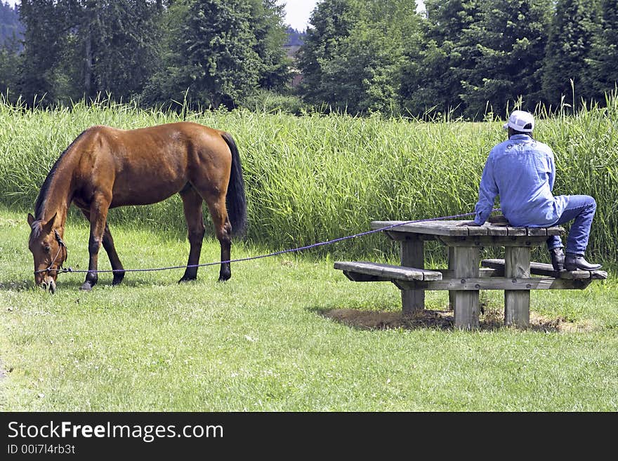 A man and his horse