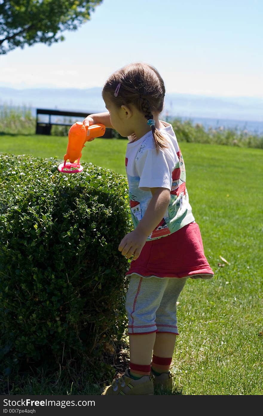 Soap Bubbles