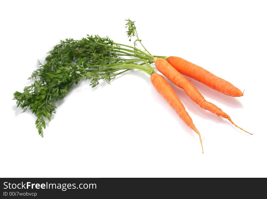 Fresh Carrots