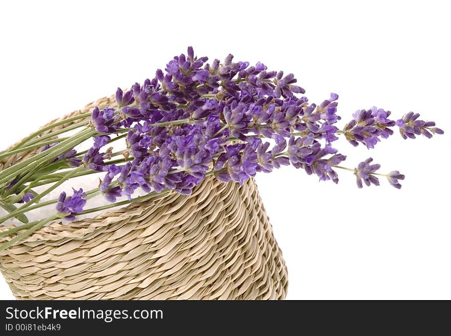 Lavender bath items isolated on the white backround. fresh flowers and salt.