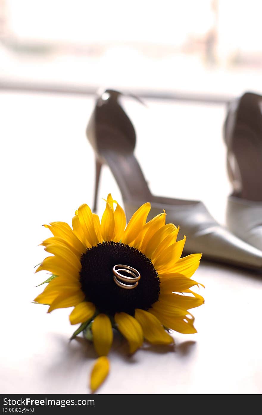 Wedding rings on the sunflower, shallow dof for artistic effect. Wedding rings on the sunflower, shallow dof for artistic effect