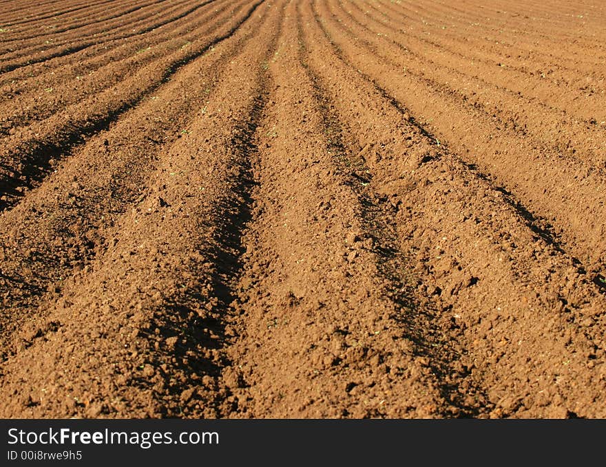 Ploughed Field