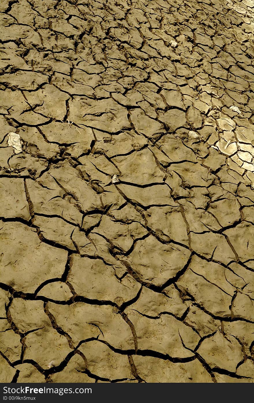 Dried cracked earth suffering from a waterless period. Dried cracked earth suffering from a waterless period