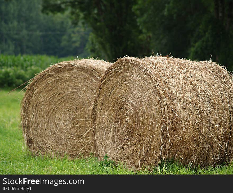 Hay stacked in a roll in a field in France. Hay stacked in a roll in a field in France