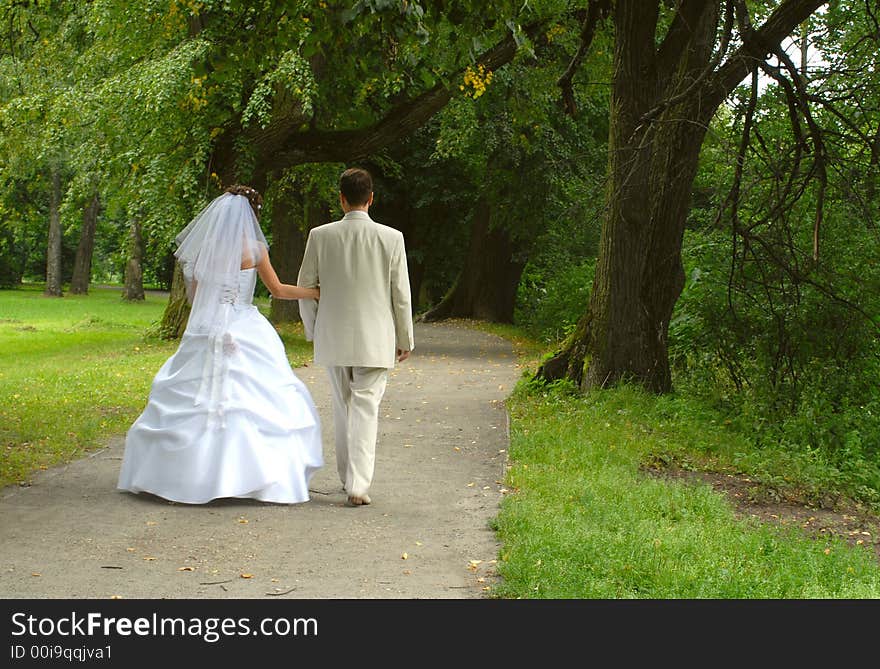 The groom and bride walk on park. The groom and bride walk on park