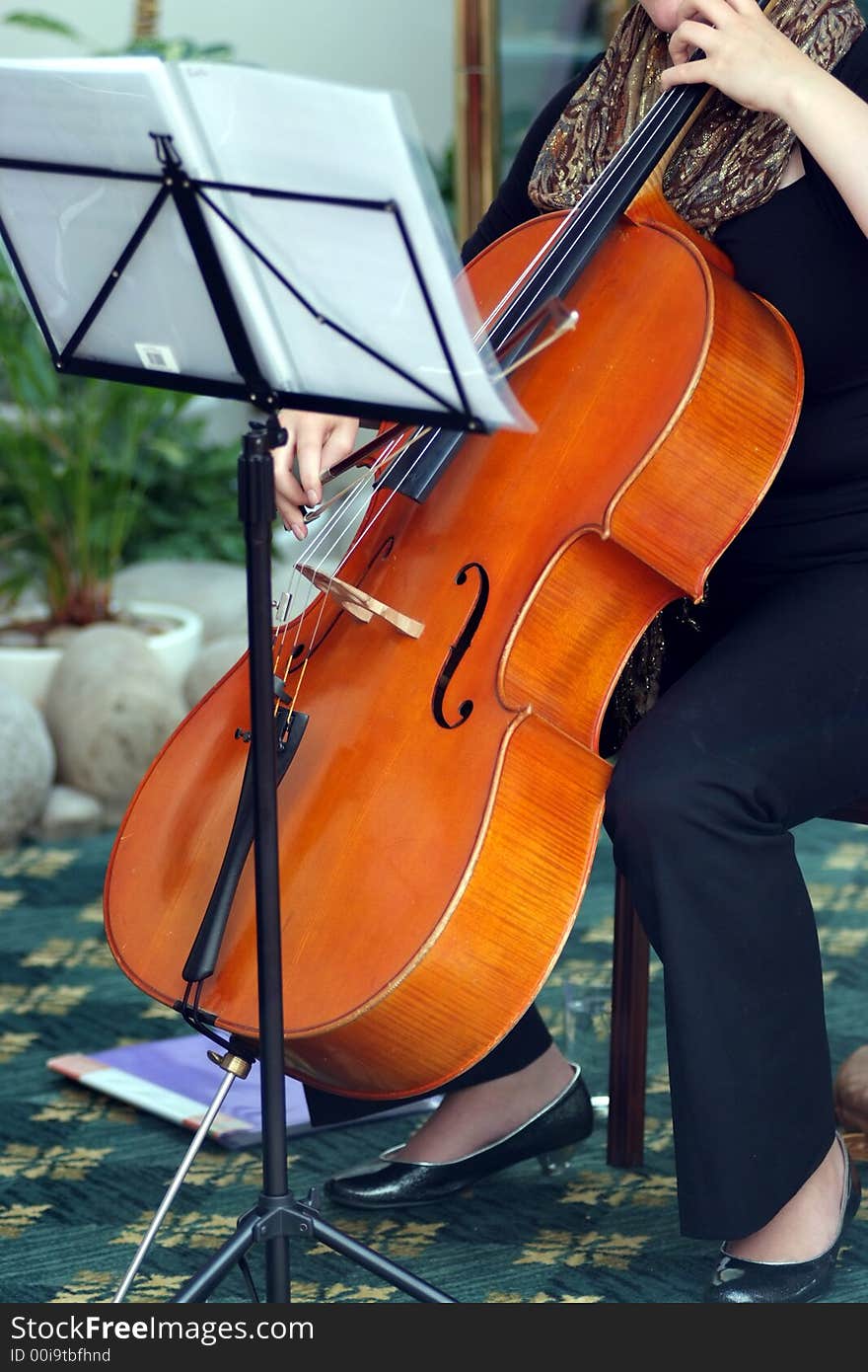 Women is playing a violoncello. Women is playing a violoncello