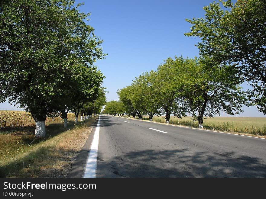 Empty road with trees an blue sky