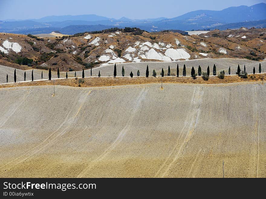 Typical Tuscan landscape near Siena called Crete Senesi (Siennese Clay). Typical Tuscan landscape near Siena called Crete Senesi (Siennese Clay)