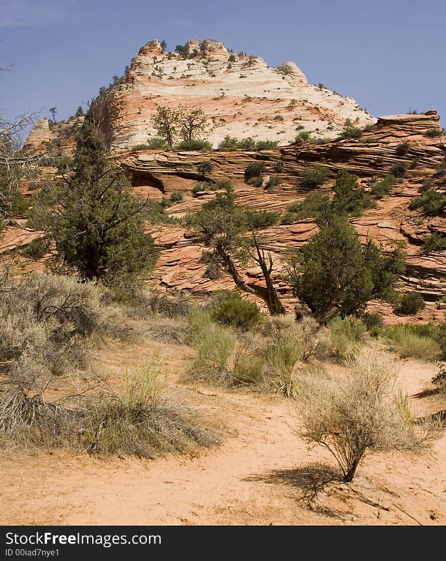 Desert Landscape at Zion National Park