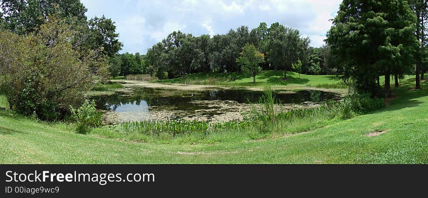 This is a panoramic of sawgrass lake and the sky and clouds. This is a panoramic of sawgrass lake and the sky and clouds