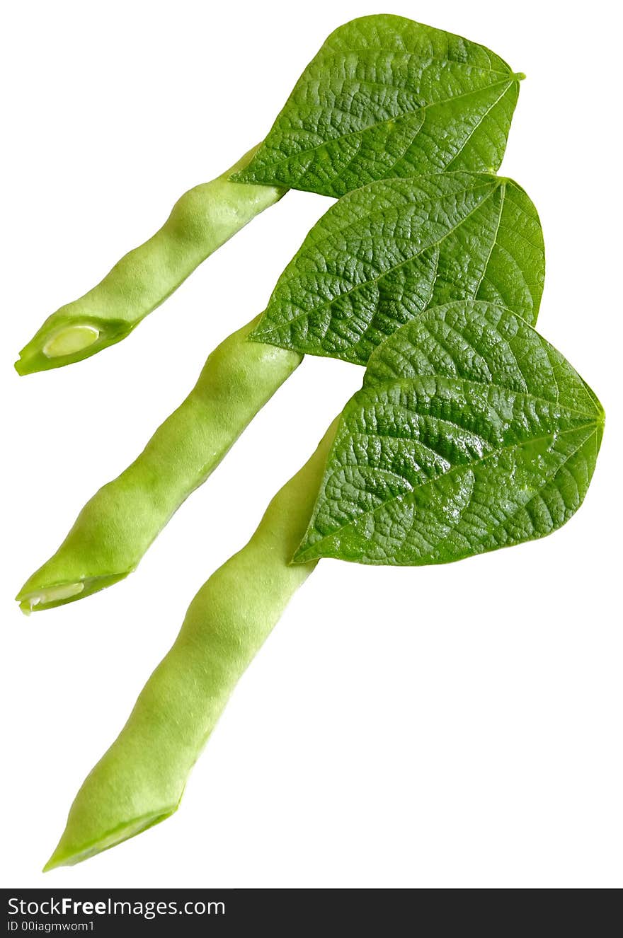 Cuted young bean pods with leafs isolated on white background