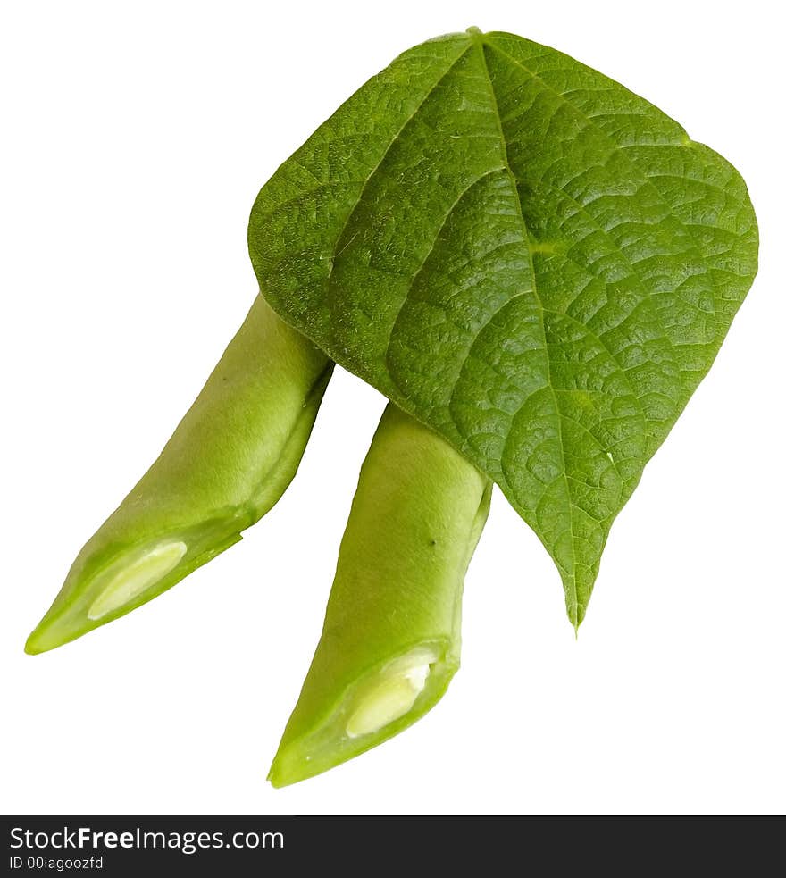 Cuted young bean pods with leaf isolated on white background