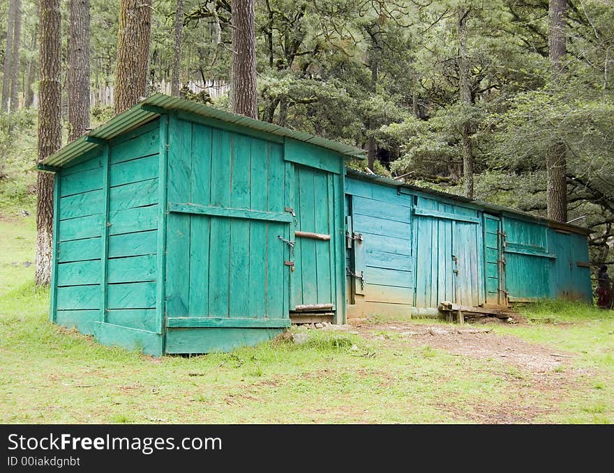 Forest Cabin