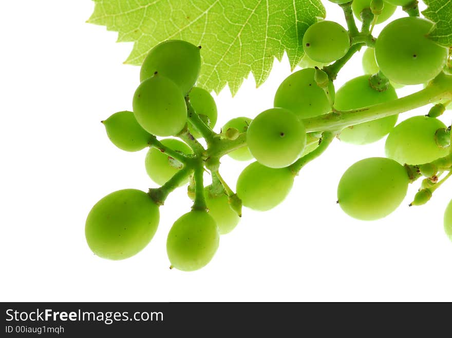 Green grapes and leaf on white background