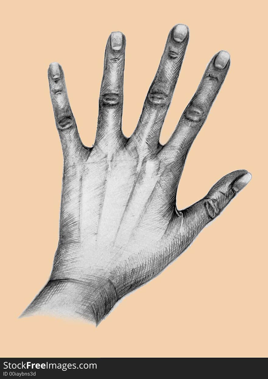 I did this drawing for a hand. I did this drawing for a hand.