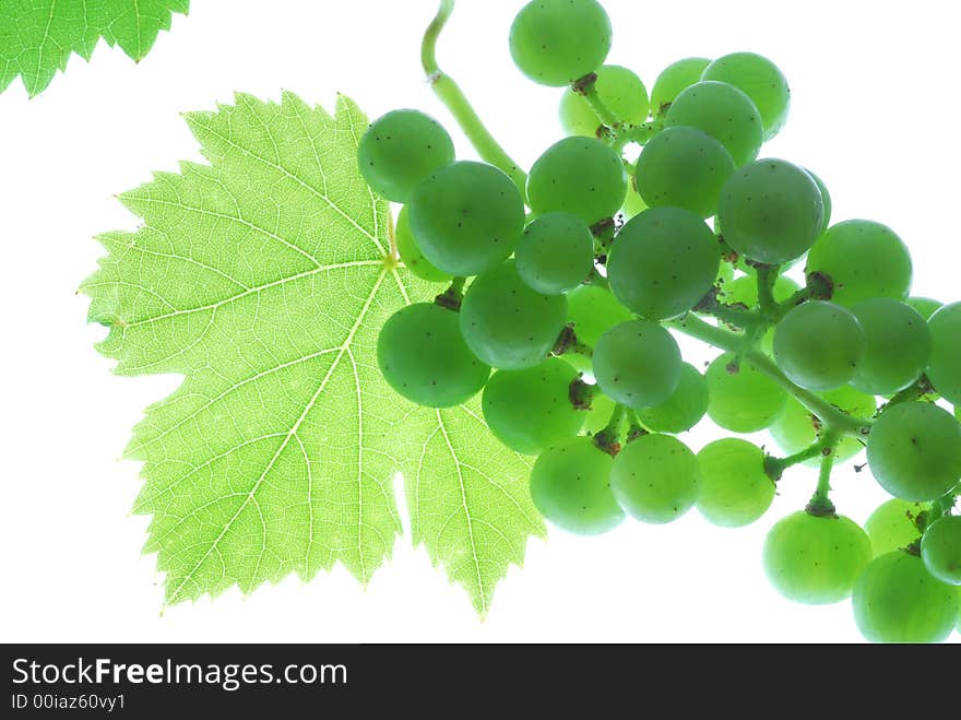 Green grapes and its leaves