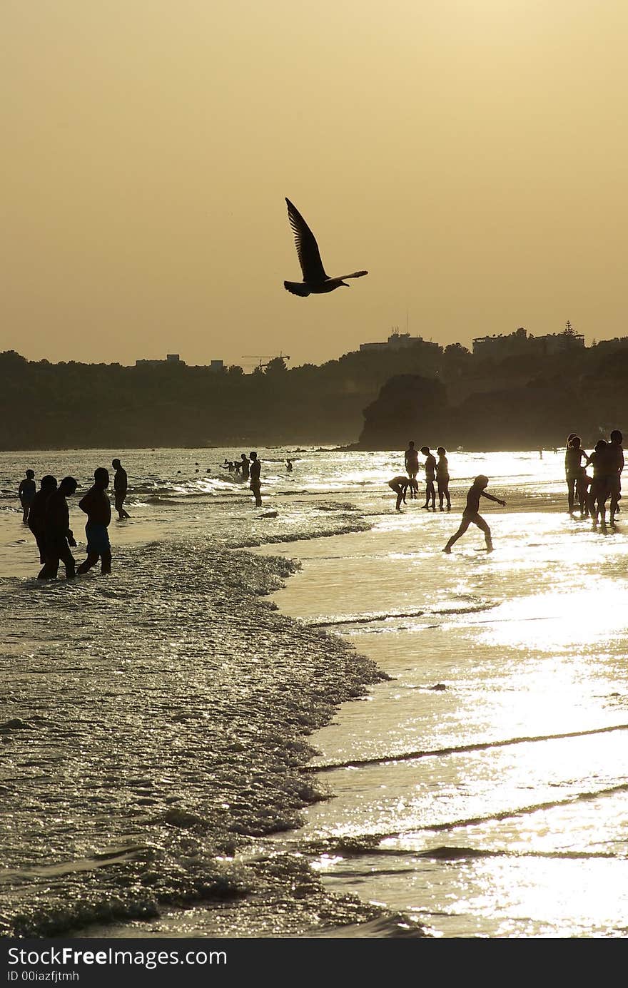 silhouettes on the beach at dusk.