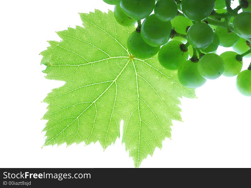 Green grapes and leaf on white background