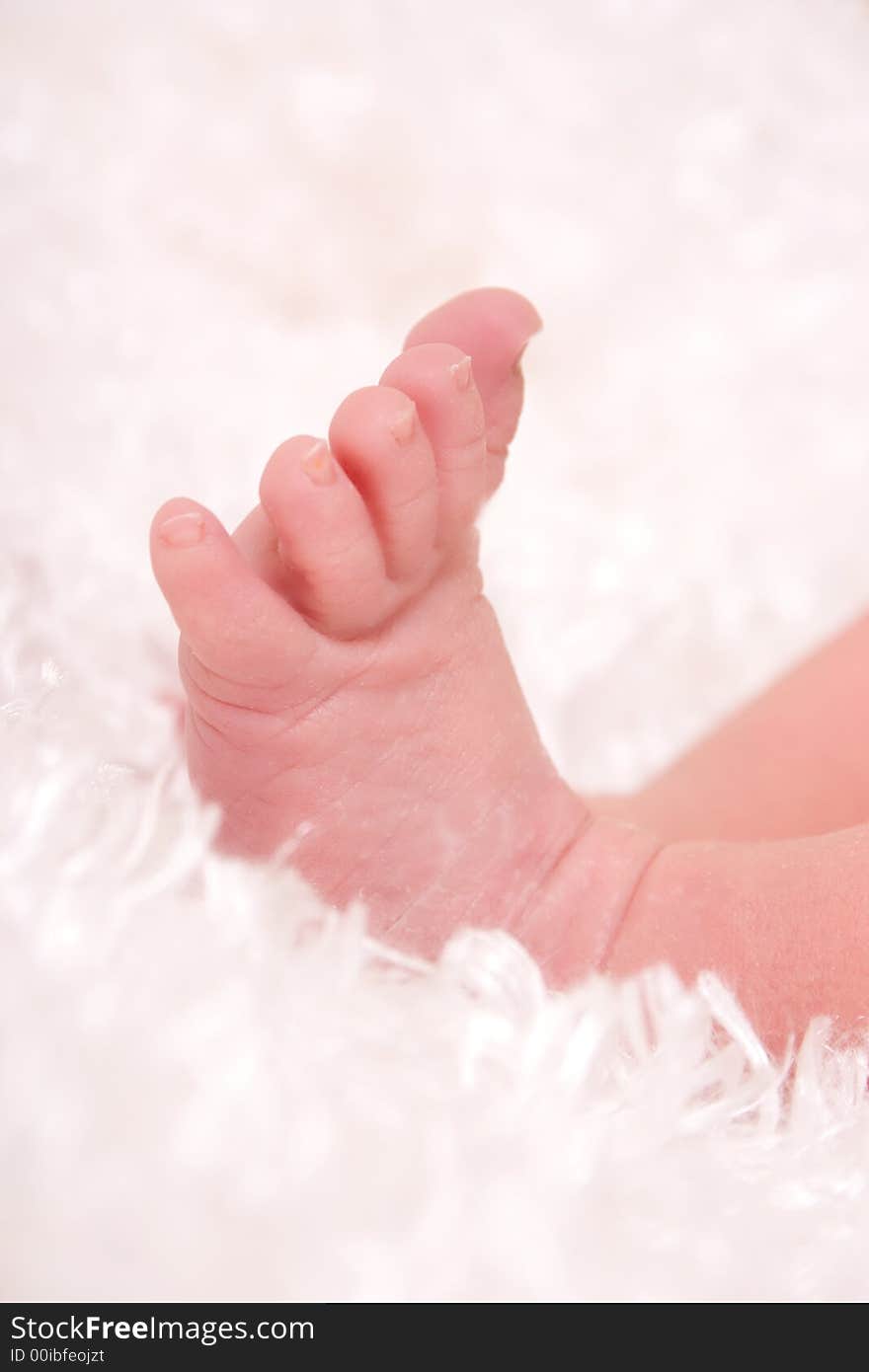 Close up of a newborn's foot on a fluffy white blanket. Close up of a newborn's foot on a fluffy white blanket.