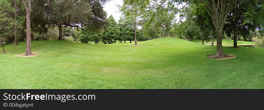 This is a panoramic of a landscape of trees and grass and foliage.