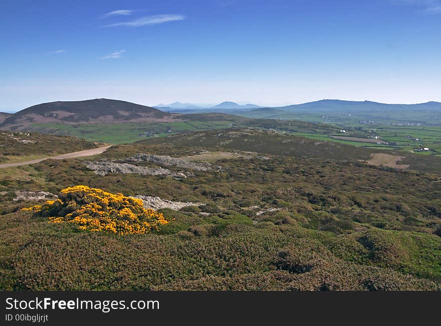 Mountains and pastures, welsh landscape