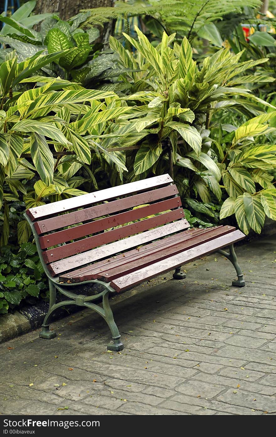 Empty Bench