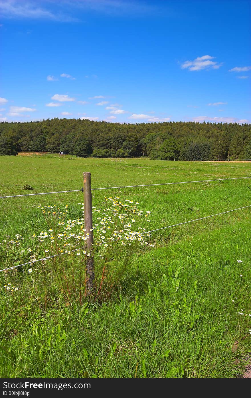 The countryside in summertime