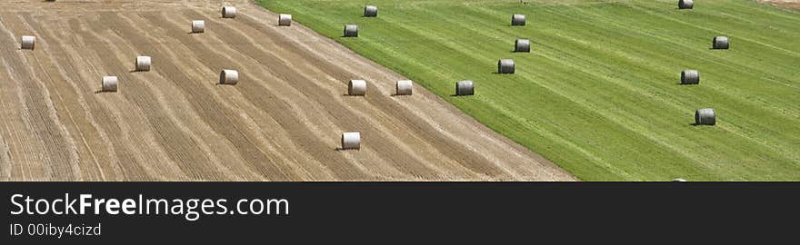 Kornfeld-Grasfeld mit Ballen und unterschiedlicher Färbung. Kornfeld-Grasfeld mit Ballen und unterschiedlicher Färbung