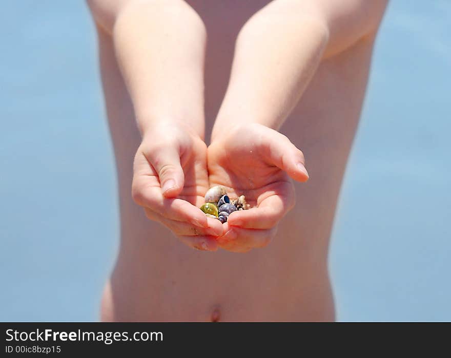 A child's summer bounty of treasures. A child's summer bounty of treasures.