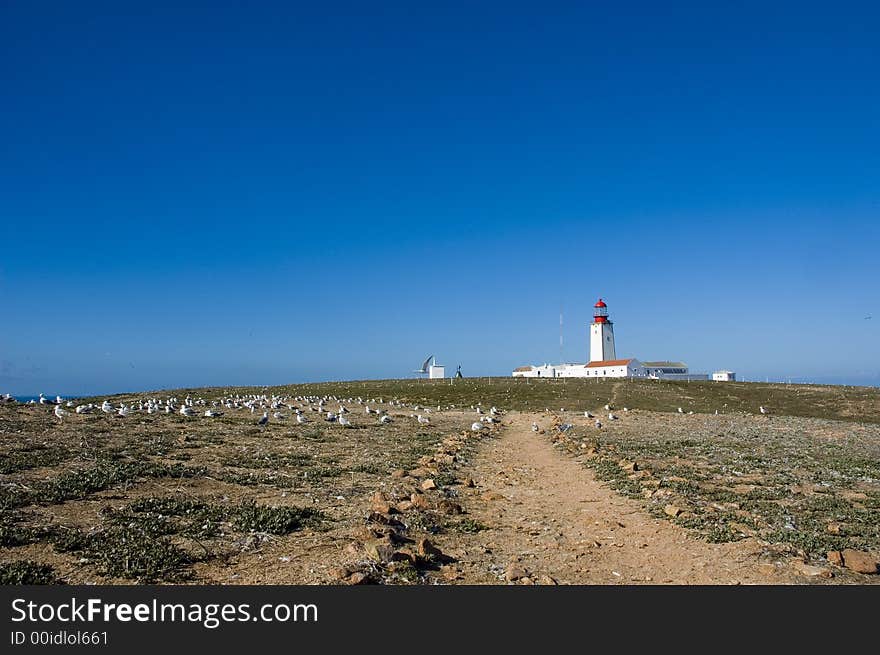 Seagulls in blue ocean with far away Lighthouse. Seagulls in blue ocean with far away Lighthouse.