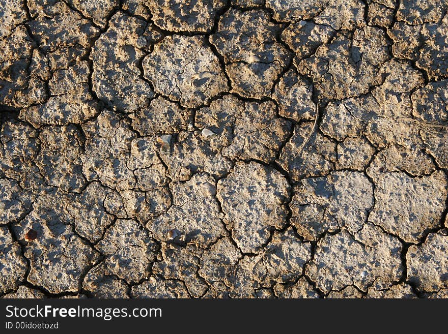 Dried cracked earth