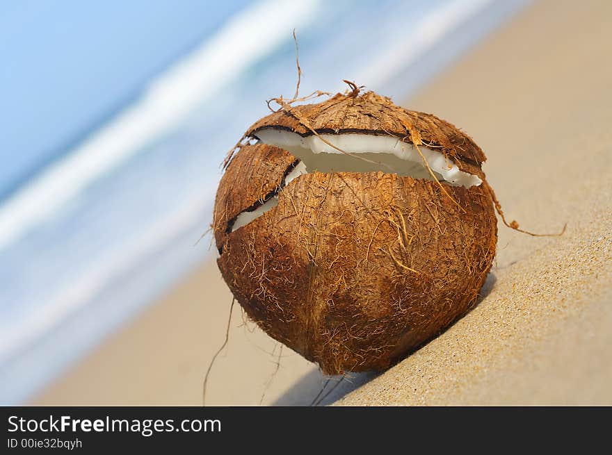 View of lonely cracked coconut on sandy beach