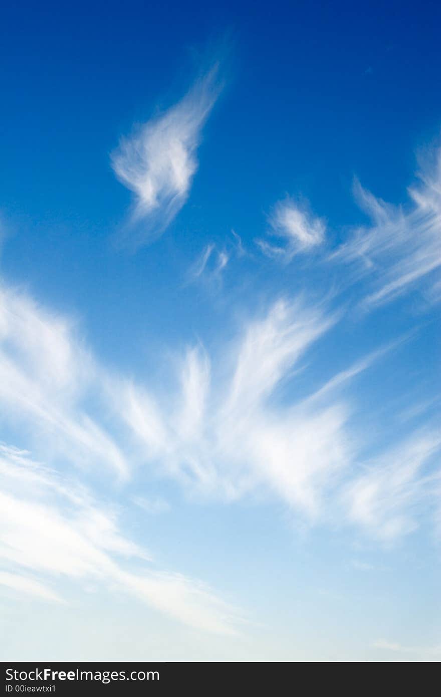 Delicate cirrus clouds in the blue sky. Delicate cirrus clouds in the blue sky