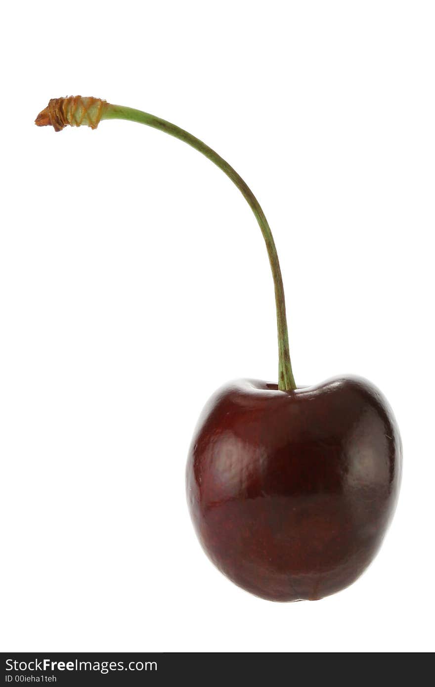 Single cherry close-up isolated over a white background