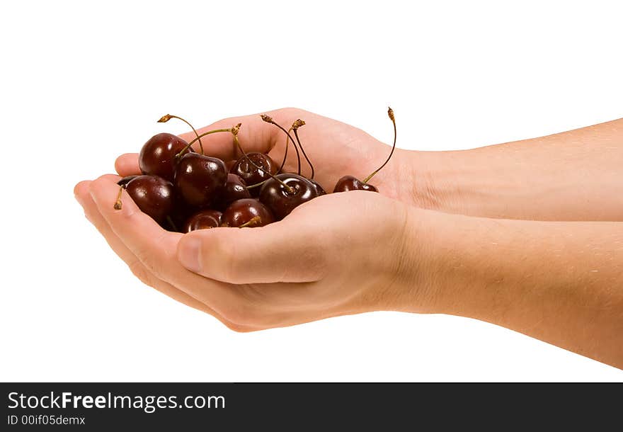 Man Hand holds red cherries. Man Hand holds red cherries