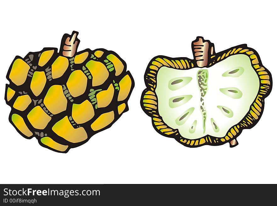 Art illustration: a pine fruit and a half one