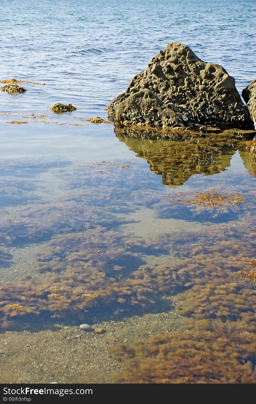 The big stone at ocean with seaweed in the foreground