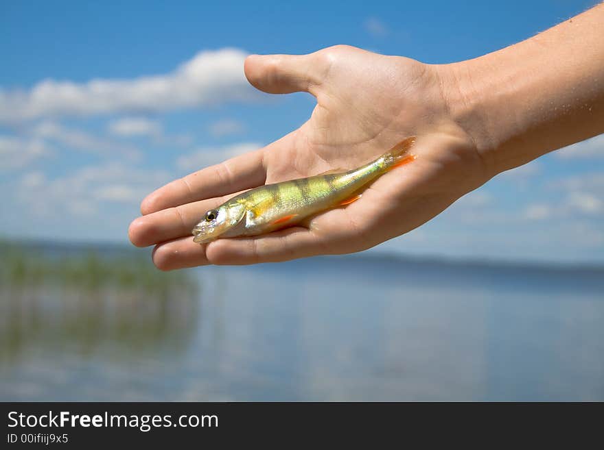 Hand holding a fish caught on a fishing line with clouds