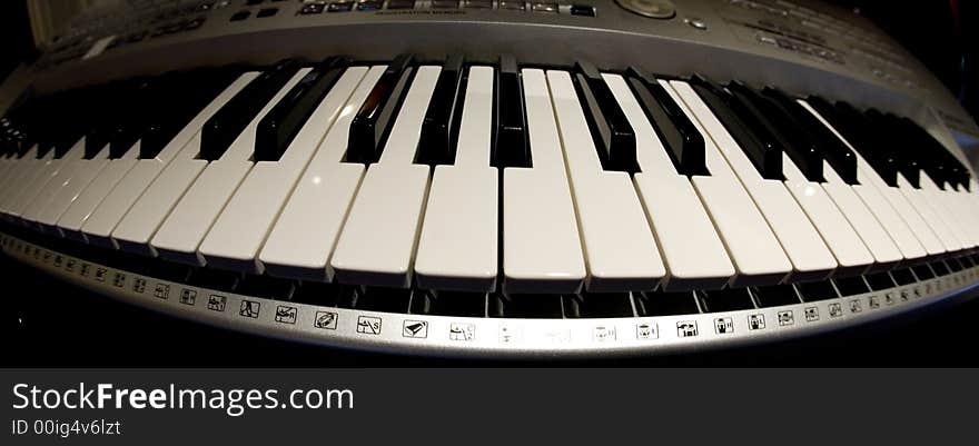 The musician s keyboard