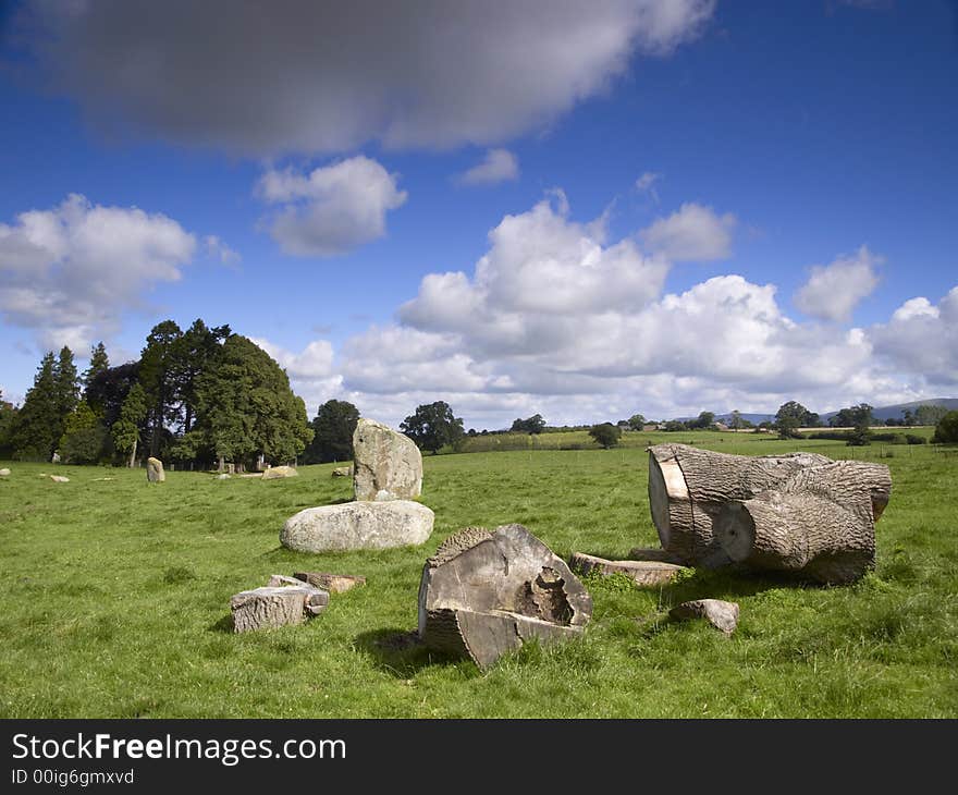 Felled Tree In Stone Circle