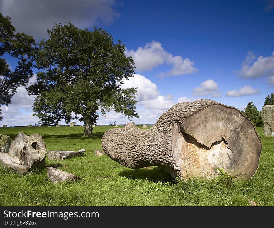 A felled tree at the 'Long Meg and her Daughters' stone circle near Lazonby, Cumbria, England