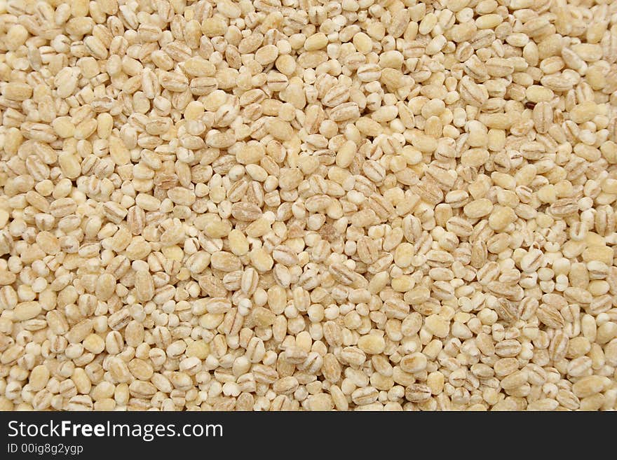 Grains of raw barley in a sack. Grains of raw barley in a sack.